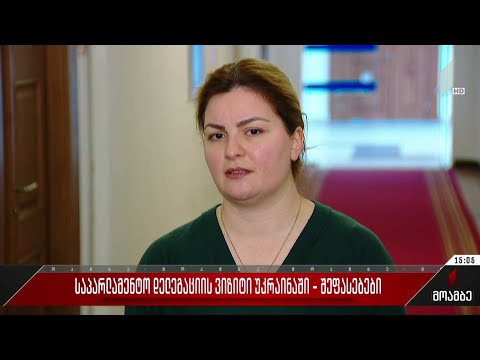 საპარლამენტო დელეგაციის ვიზიტი უკრაინაში - შეფასებები